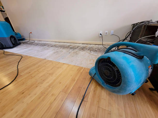 Professional Sewage Cleanup technician working in Cumberland, OH